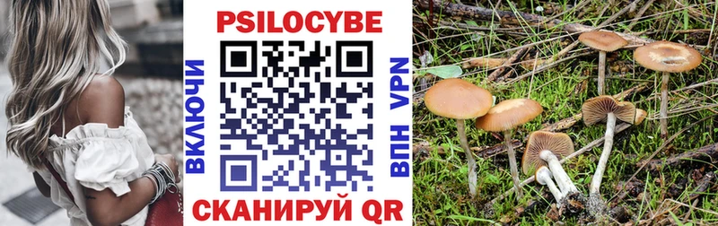 Галлюциногенные грибы Psilocybine cubensis  дарнет шоп  кракен tor  Каргополь 